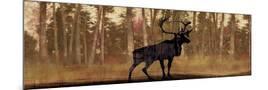 Wood Mount