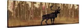 Stretched Canvas