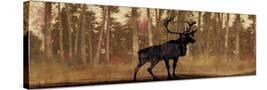 Stretched Canvas