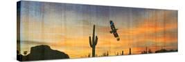 Stretched Canvas