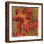 Brown Frame