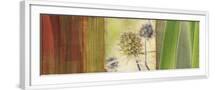 White Frame