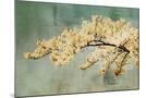 Wood Mount