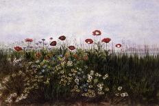 Poppies, Daisies and Thistles on a River Bank-Andrew Nicholl-Giclee Print