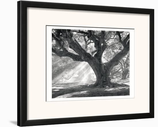 Andrew Oak, Afternoon Light-William Guion-Framed Art Print