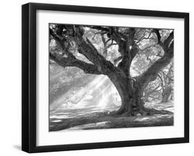 Andrew Oak, Afternoon Light-William Guion-Framed Art Print