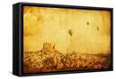 Framed Canvas