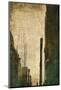 Wood Mount