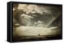 Framed Canvas