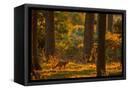 Canvas Black