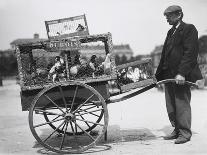 Barrow of Birds at the Paris Animal Market, 20th Century-Andrew Pitcairn-knowles-Giclee Print