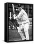 Andrew Sandham Batting in the Nets, 1924-null-Framed Stretched Canvas