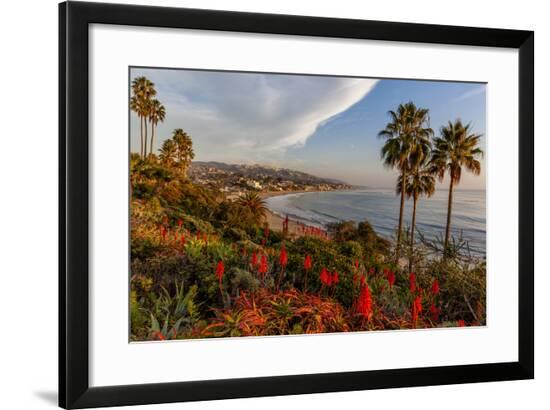 Framed Photographic Print, , large