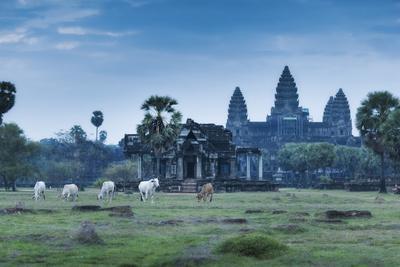 Temple Complex of Angkor Wat, Angkor, UNESCO World Heritage Site, Siem Reap, Cambodia, Indochina