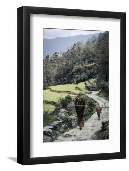 Premium Photographic Print, , large