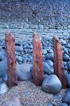 Remains of old sea defences emerge from shingle and pebbles, England-Andrew Wheatley-Photographic Print