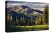 Andrew Whiteford Rides The Single Track Of Black's Canyon Teton Pass At Sunset Near Wilson, Wyoming-Jay Goodrich-Stretched Canvas