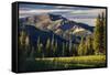 Andrew Whiteford Rides The Single Track Of Black's Canyon Teton Pass At Sunset Near Wilson, Wyoming-Jay Goodrich-Framed Stretched Canvas