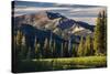 Andrew Whiteford Rides The Single Track Of Black's Canyon Teton Pass At Sunset Near Wilson, Wyoming-Jay Goodrich-Stretched Canvas