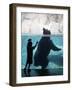 Andrew Zimmerman Watches a Grizzly Bear Swim in a Pool in the Exhibit at the Brookfield Zoo-null-Framed Photographic Print