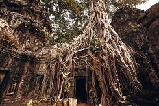 Angkor Wat Temple in Siem Reap, Cambodia-Andrey Bayda-Stretched Canvas