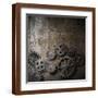 Brown Frame