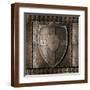 Brown Frame