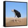 Canvas Black