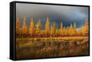 Canvas Black