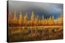Stretched Canvas
