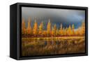Canvas Black
