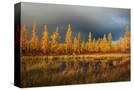 Stretched Canvas