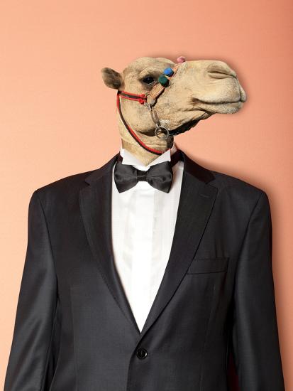 Photographic Print, , large