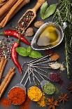 Still Life with Spices and Herbs in the Frame-Andrii Gorulko-Framed Photographic Print