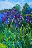 Irises-Andrii Kutsachenko-Photographic Print