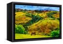 Canvas Black