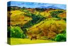 Stretched Canvas