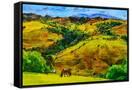 Canvas Black