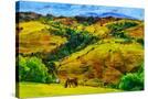Stretched Canvas