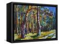 Canvas Black