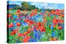 Stretched Canvas
