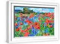 White Frame