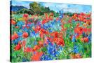 Stretched Canvas
