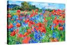 Stretched Canvas