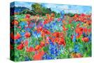 Stretched Canvas