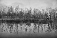 Misty Autumn Morning on the River, Rural Landscape-Andriy Solovyov-Photographic Print