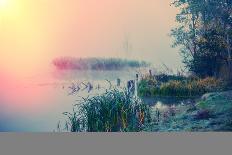 Autumn Morning and Fog on the River, the Autumn Season-Andriy Solovyov-Photographic Print