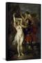 Andromeda Freed by Perseus, 1641-1642-Peter Paul Rubens-Framed Stretched Canvas