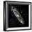 Andromeda Galaxy, UV Image-null-Framed Premium Photographic Print