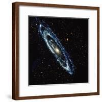 Andromeda Galaxy-Stocktrek-Framed Photographic Print